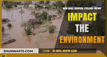 Cyclone Freddy's Environmental Toll: Devastation, Ecosystems, and Climate Insights