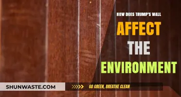 Trump's Border Wall: Environmental Impacts and Ecosystem Disruption Explained