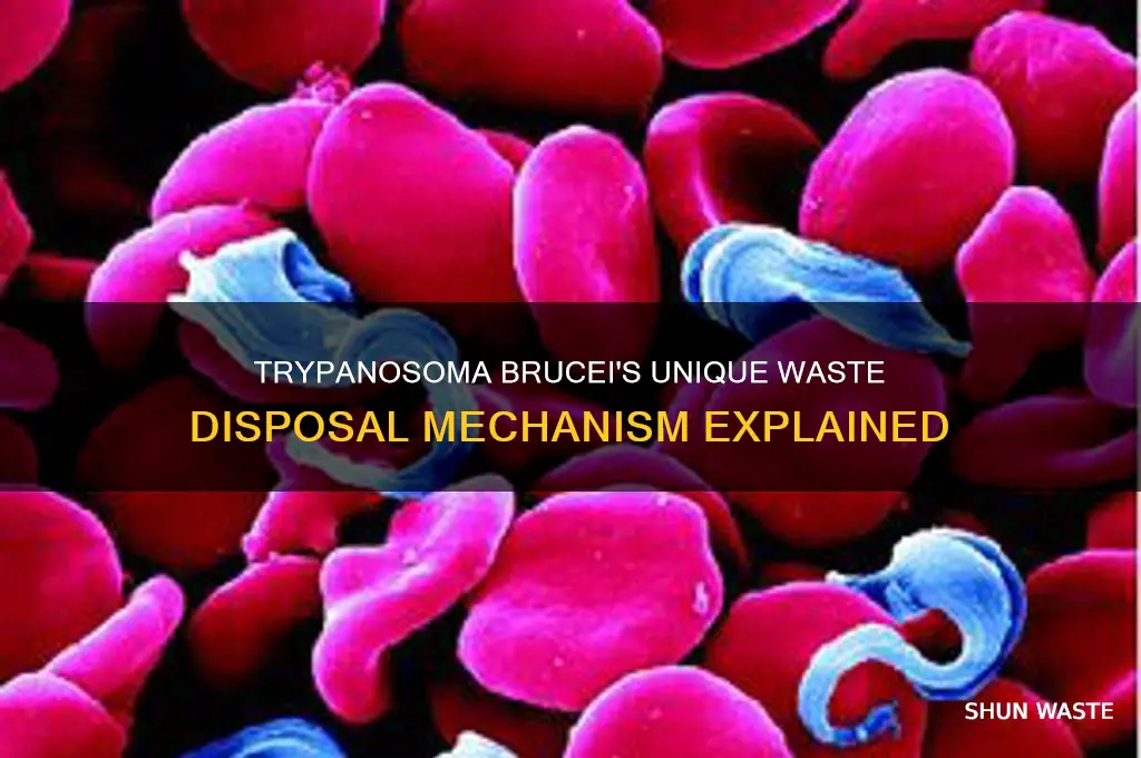 how does trypanosoma brucei disposes of waste