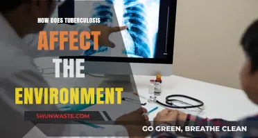 Tuberculosis' Environmental Impact: Unseen Consequences on Ecosystems and Communities