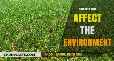 Turf's Environmental Impact: Exploring Ecological Consequences and Sustainability Solutions
