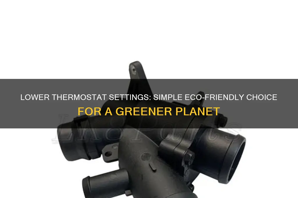 how does turning down the thermostat help the environment
