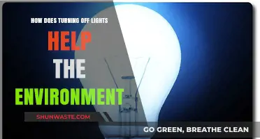 Turning Off Lights: Simple Eco-Friendly Habit, Big Environmental Impact