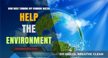 Conserve Water, Save the Planet: The Impact of Turning Off Taps