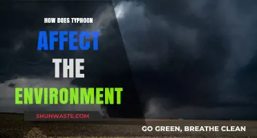 Typhoon's Environmental Impact: Destruction, Ecosystem Disruption, and Long-Term Effects