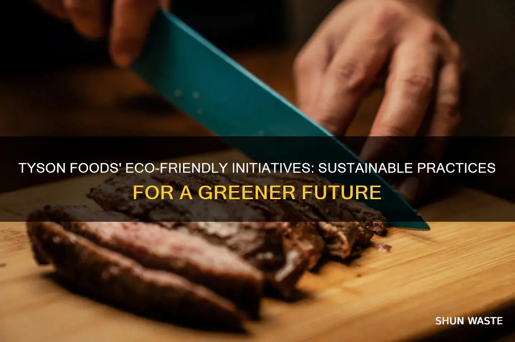 how does tyson foods help the environment