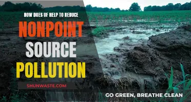 UF's Role in Curbing Nonpoint Source Pollution