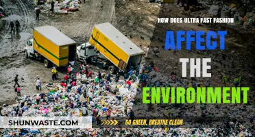 Ultra-Fast Fashion's Environmental Toll: Unraveling the Hidden Costs