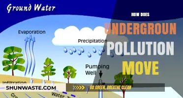 The Migration of Underground Pollution: Understanding the Movement