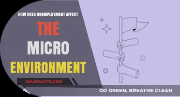 Unemployment's Ripple Effect: Shaping the Micro Environment and Local Economies