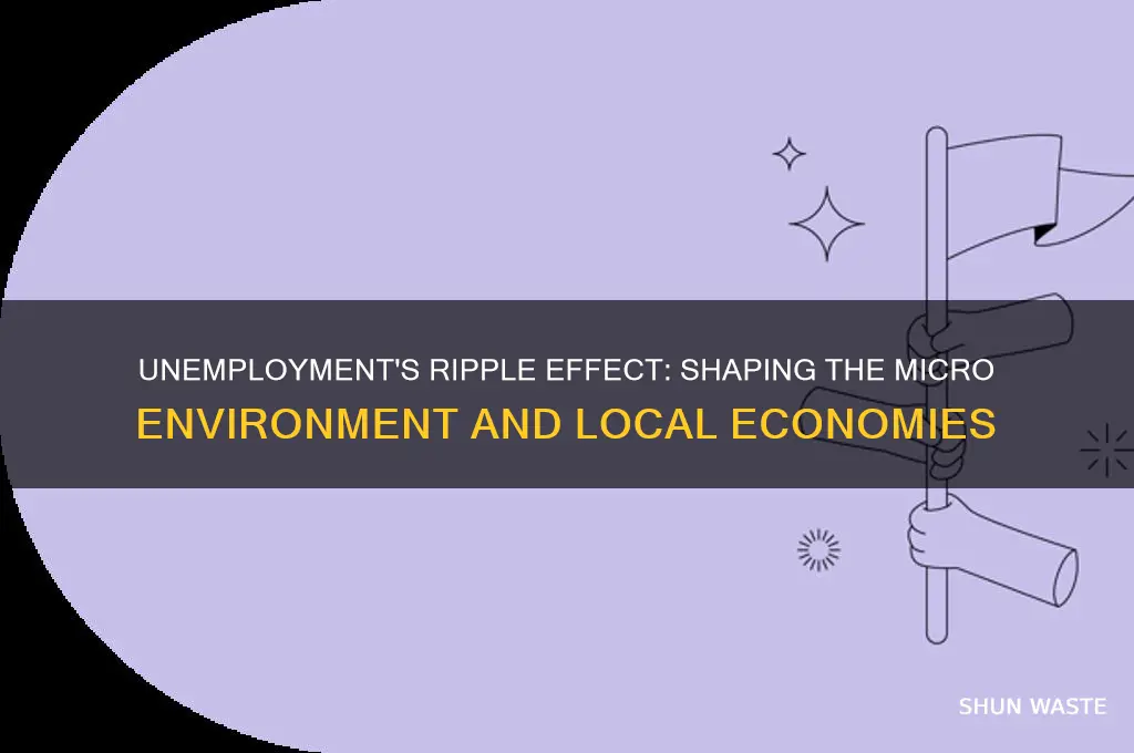 how does unemployment affect the micro environment