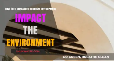 Unplanned Tourism's Environmental Toll: Consequences of Unchecked Development