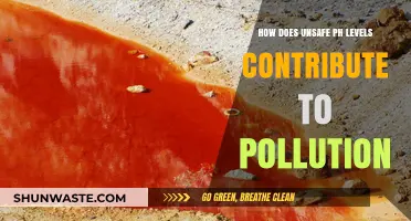 Unsafe pH Levels: A Pollution Catalyst