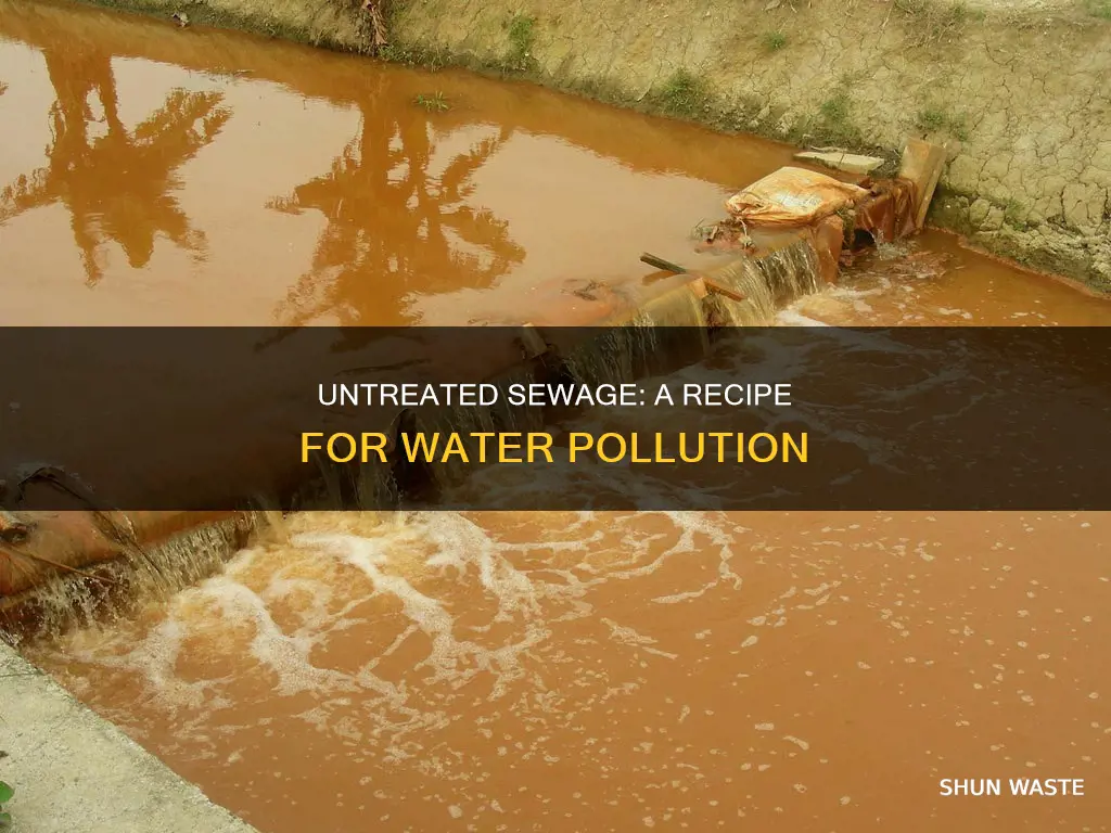 how does untreated sewage cause water pollution