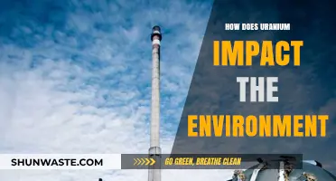 Uranium's Environmental Impact: Pollution, Radiation, and Ecosystem Disruption Explained