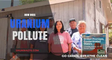 Uranium's Toxic Legacy: Understanding Radioactive Pollution