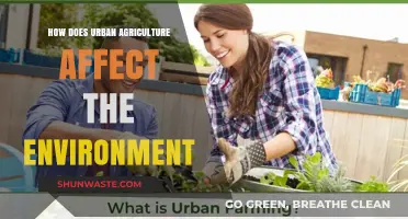 Urban Agriculture's Environmental Impact: Benefits, Challenges, and Sustainable Practices
