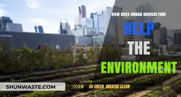 Urban Agriculture: Sustainable Solutions for Greener Cities and Healthier Ecosystems