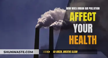 Air Pollution's Health Impact: Urban Hazards and Solutions