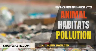 Urban Development: Impact on Animal Habitats and Pollution