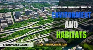 Urban Expansion's Impact: Environment, Habitats, and Sustainable Solutions