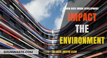 Urban Development's Environmental Impact: Challenges and Sustainable Solutions