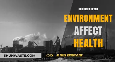 Urban Living's Impact: How Cities Shape Our Health and Well-being