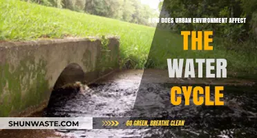 Urbanization's Impact: How Cities Alter the Natural Water Cycle