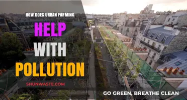Green Revolution: Urban Farming Fights Pollution