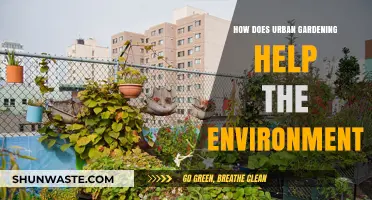 Urban Gardening: A Sustainable Solution for Greener, Healthier Cities