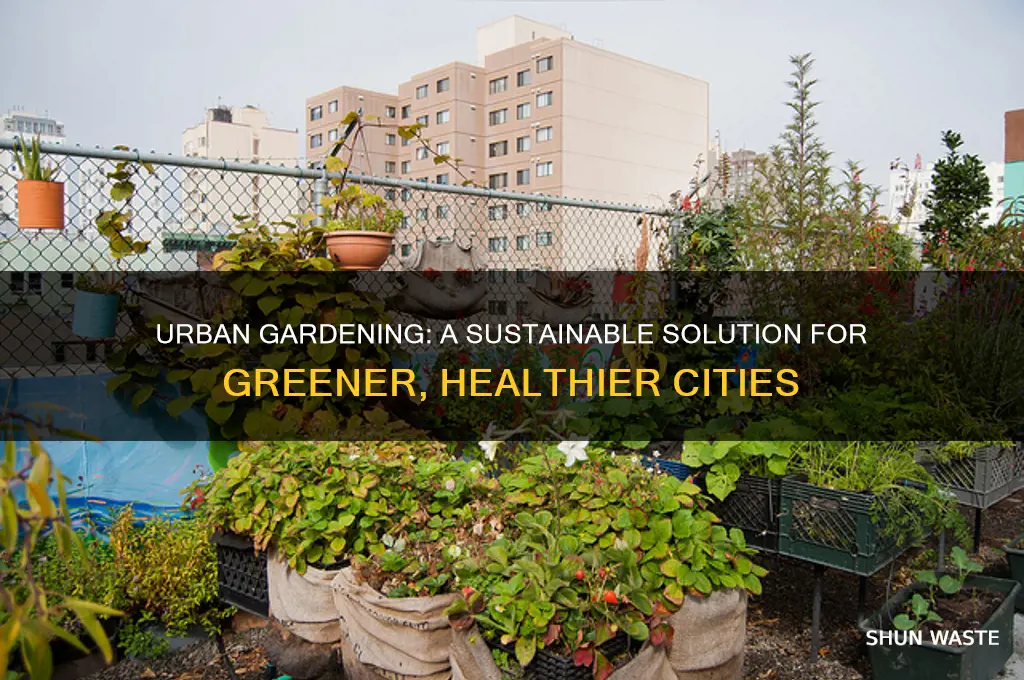 how does urban gardening help the environment