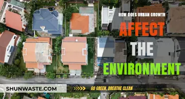 Urban Expansion's Environmental Impact: Challenges and Sustainable Solutions