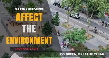 Urban Planning's Impact: Shaping Cities, Preserving Nature, and Protecting Ecosystems