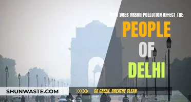 Delhi's Urban Pollution: Impact on Health and Wellbeing