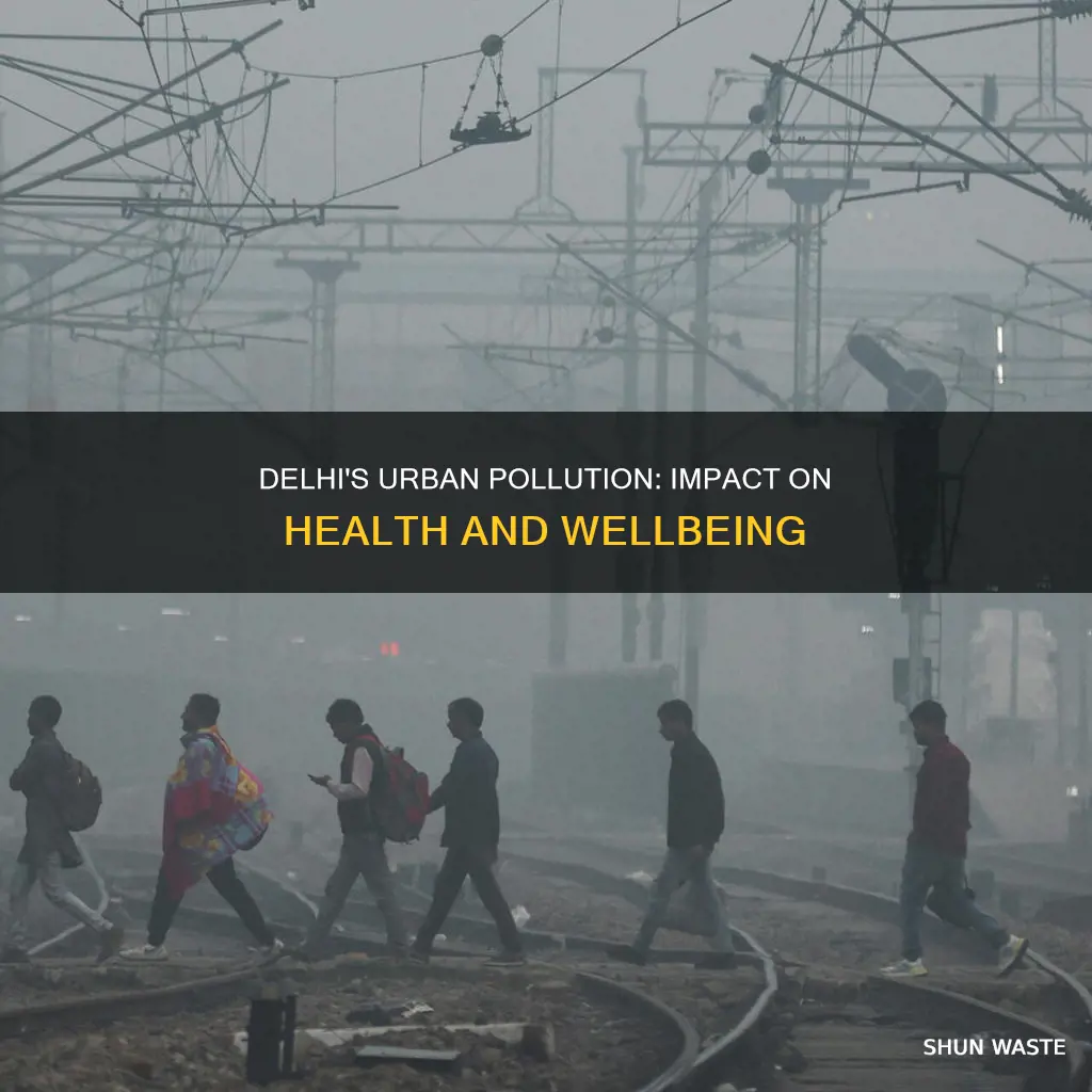 how does urban pollution affect the people of delhi