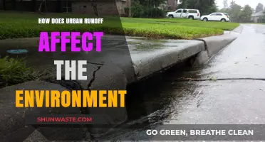 Urban Runoff's Environmental Impact: Pollution, Ecosystems, and Water Quality