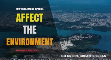 Urban Sprawl's Environmental Impact: Consequences and Sustainable Solutions Explored