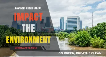 Urban Sprawl's Environmental Toll: Consequences and Sustainable Solutions