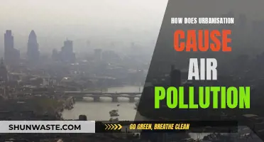 Urbanization's Impact: Unveiling the Air Pollution Crisis in Cities