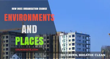 Urbanization's Impact: Transforming Environments and Reshaping Places