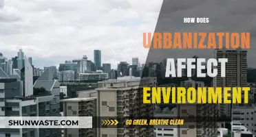 Urbanization's Environmental Impact: Challenges and Sustainable Solutions Explored