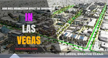 Urbanization's Impact: Las Vegas' Environmental Challenges and Sustainability Efforts