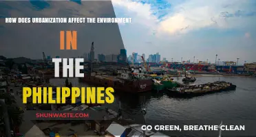 Urbanization's Impact: Environmental Challenges in the Philippines Explored