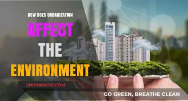 Urbanization's Impact: Environmental Challenges and Sustainable Solutions Explored