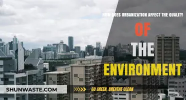 Urbanization's Impact: Unraveling the Environmental Consequences of City Growth