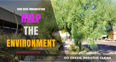 Urbanization's Green Impact: Sustainable Cities Shaping a Healthier Planet