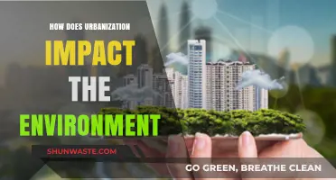Urbanization's Environmental Toll: Challenges and Sustainable Solutions for Cities