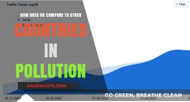 Pollution Comparison: US vs. the World