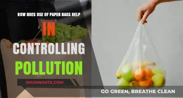 Paper Bags: Reducing Pollution, One Step at a Time