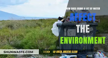 Excessive Water Usage: Environmental Impacts and Sustainable Solutions